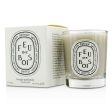 Diptyque Scented Candle - Feu De Bois (Wood Fire)  70g 2.4oz Hot on Sale