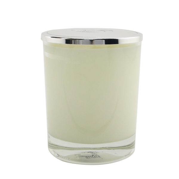 Nicolai Scented Candle - Maharadjah  190g 6.7oz Online Hot Sale