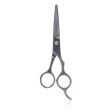 Tweezerman Stainless 2000 5 1 2 Shears (High Performance Blades) For Cheap