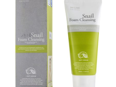 3W Clinic Snail Foam Cleansing  100ml 3.38oz Online Hot Sale