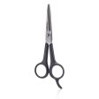 Tweezerman Spirit 2000 Styling Shears (Sharp Precise Cutting Blades) Online Hot Sale