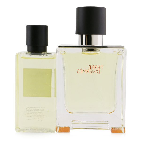 Hermes Terre D Hermes Coffret: Eau De Toilette Spray 50ml 1.6oz + Hair And Body Shower Gel 40ml 1.35oz  2pcs For Sale